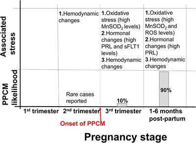 Heat Shock Proteins: Potential Modulators and Candidate Biomarkers of Peripartum Cardiomyopathy